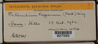 Image Associated With the Occurence